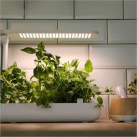 GIARDINO INDOOR